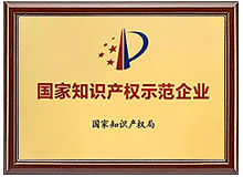 國家知識產權示范企業