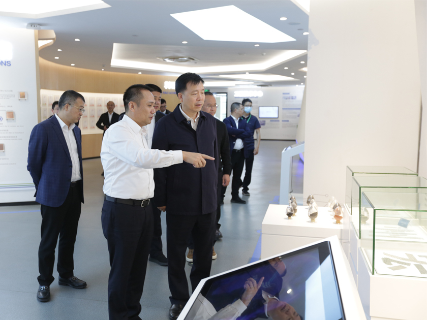 溫州市委副書記、市長張振豐一行蒞臨溫州宏豐調研指導工作